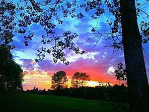 Photo 881516