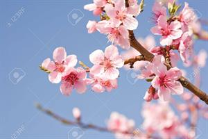 Photo 881722